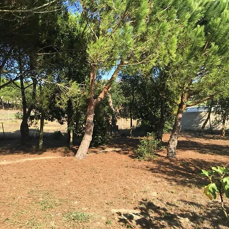 Quinta Turki Malika Vila