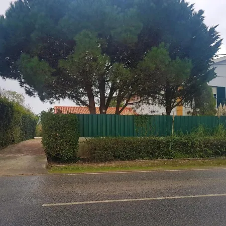 Quinta Turki Malika *